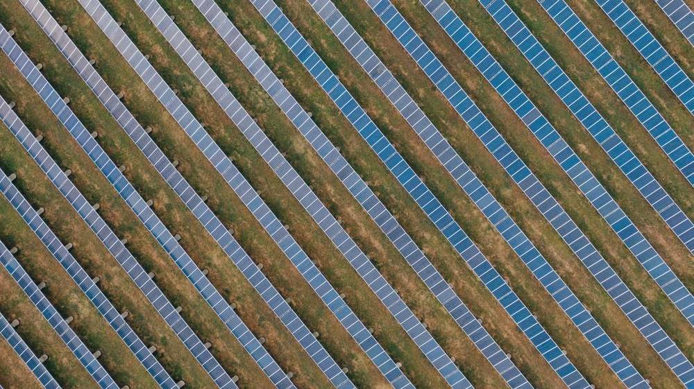 Rows of solar modules above grass, showing the inter-row vegetation typical of an agrivoltaic mounting system